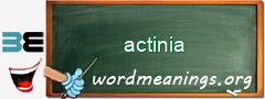 WordMeaning blackboard for actinia